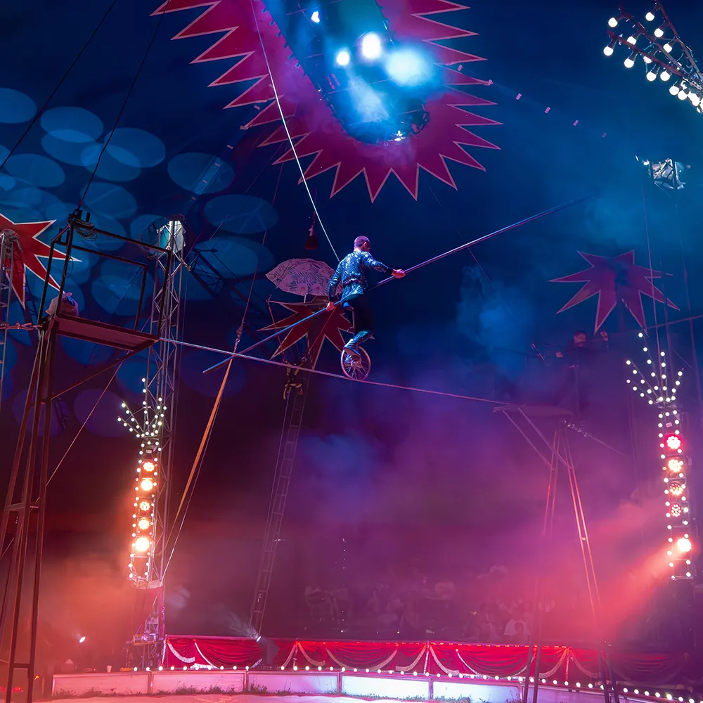 Artysta na monocyklu na linie